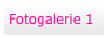 Fotogalerie 1